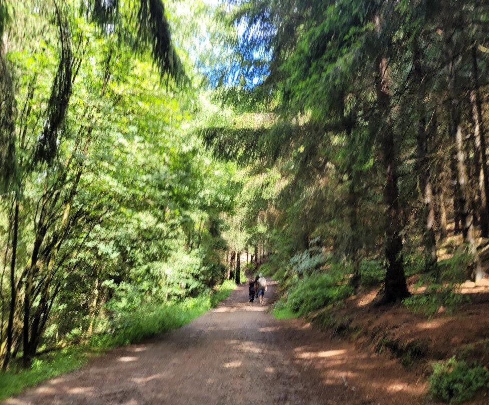 Liebesbank Trail-Hahnenklee-Bockswiese必去景点