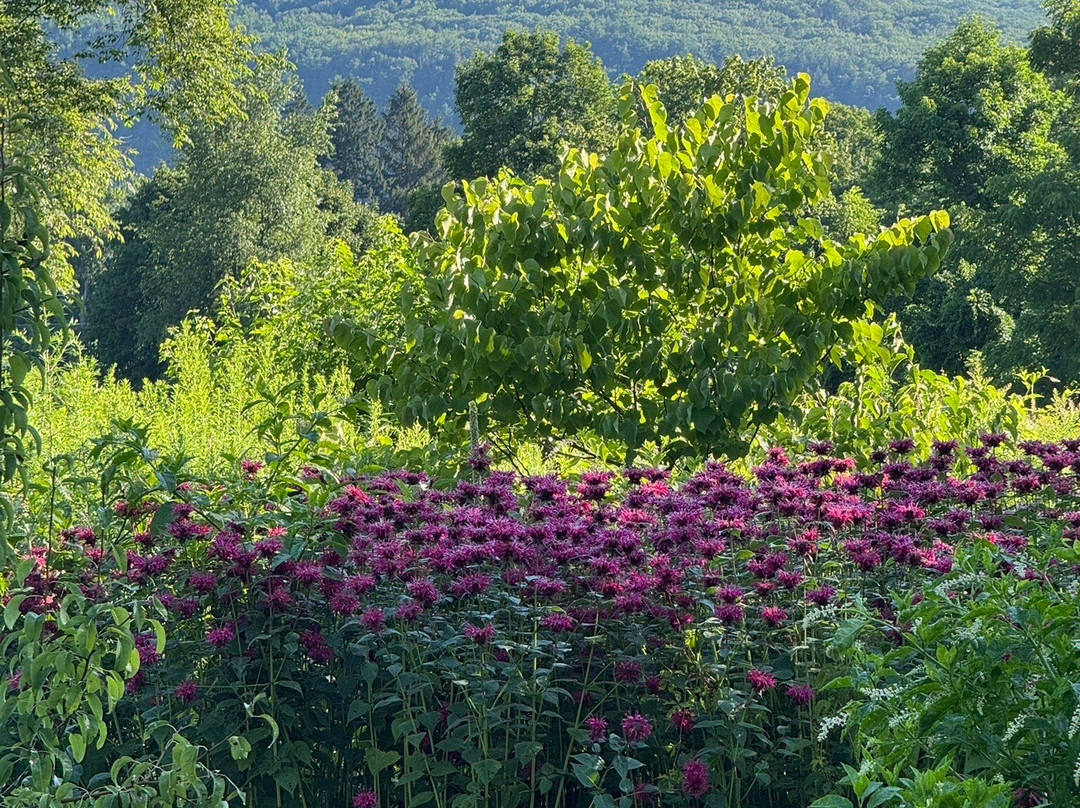 Granville House主图