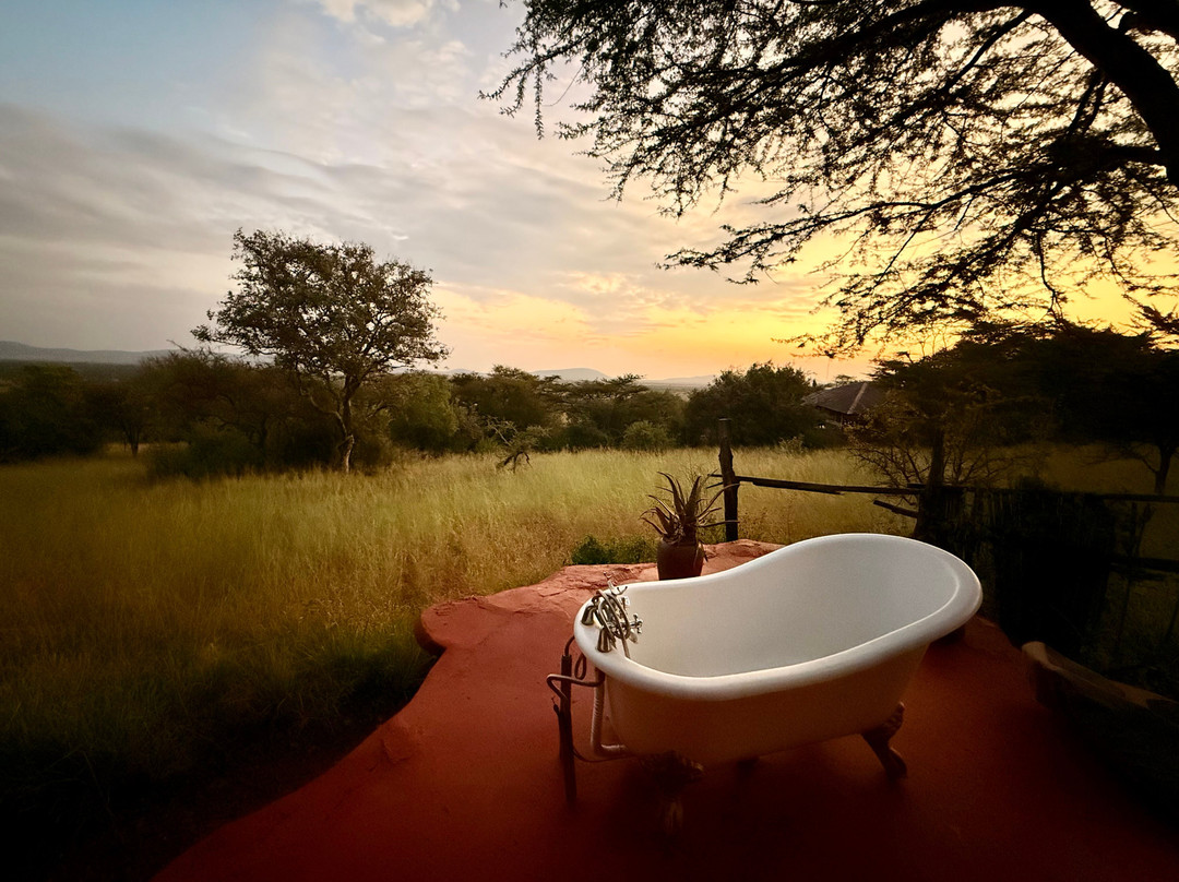 Mbalageti Safari Camp主图