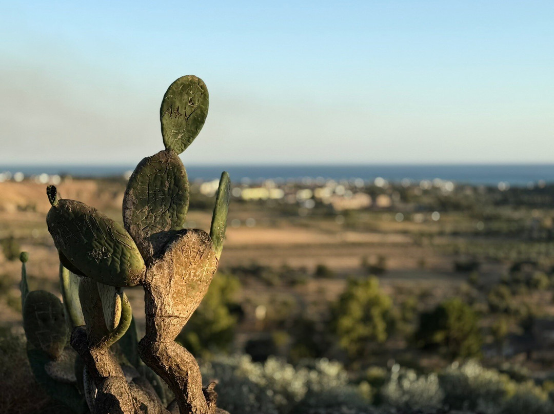 SunnySicily-陶尔米纳必去景点