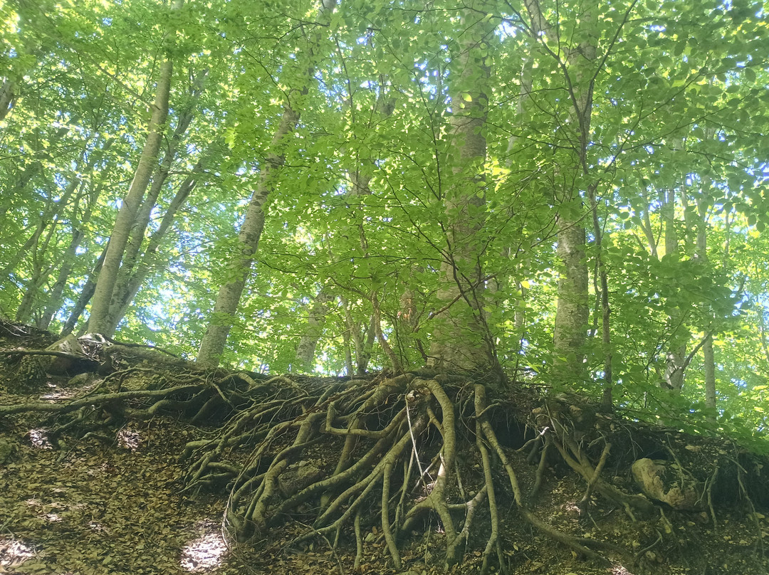 Riserva Naturale Lama Bianca-Roccacaramanico必去景点