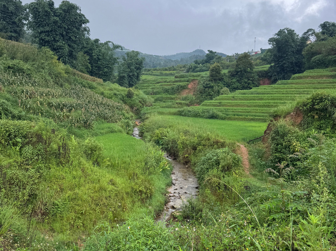 Ethos - Spirit of the Community-沙巴必去景点