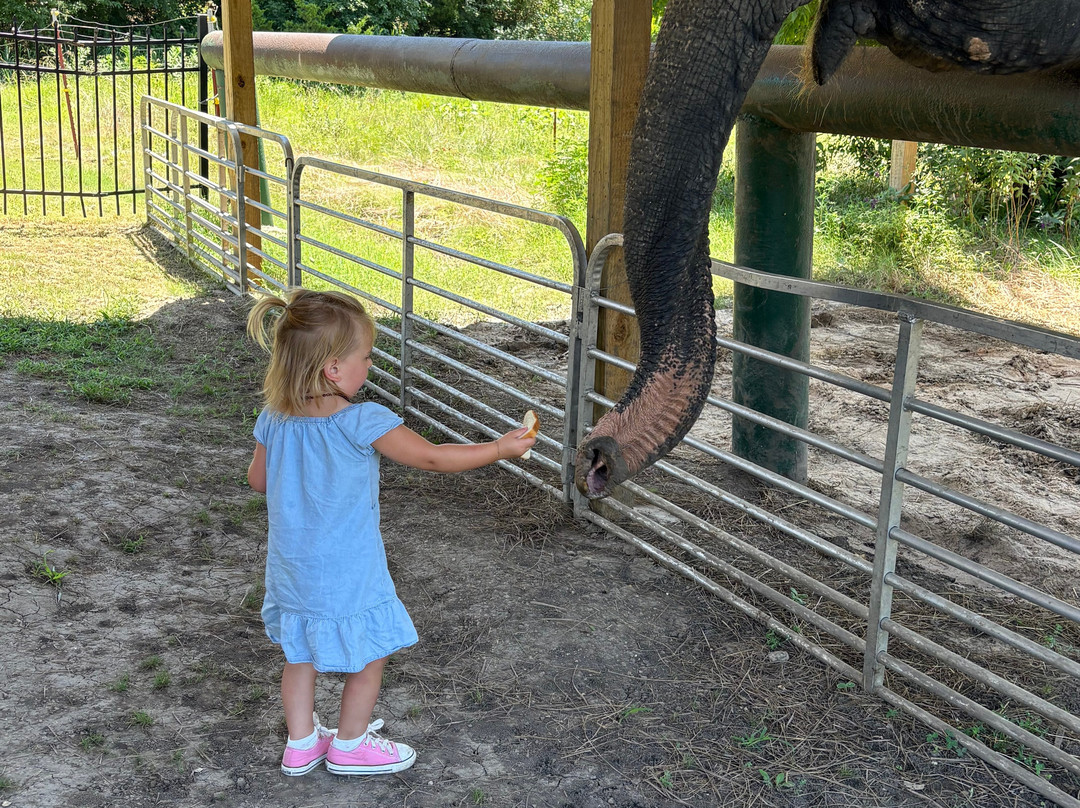 The Endangered Ark Foundation-Hugo必去景点