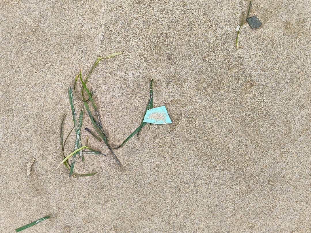 Playa de lenguadillos-萨洛必去景点