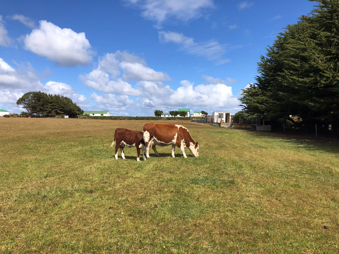 Fitzroy Farm-Darwin必去景点