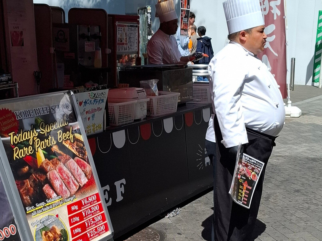 Dotonbori Tsuribori-Dotombori必去景点