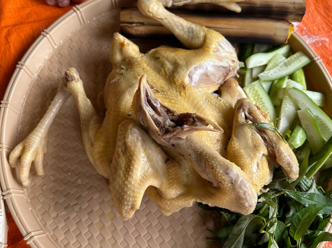 Cat Farm-保禄县必去景点