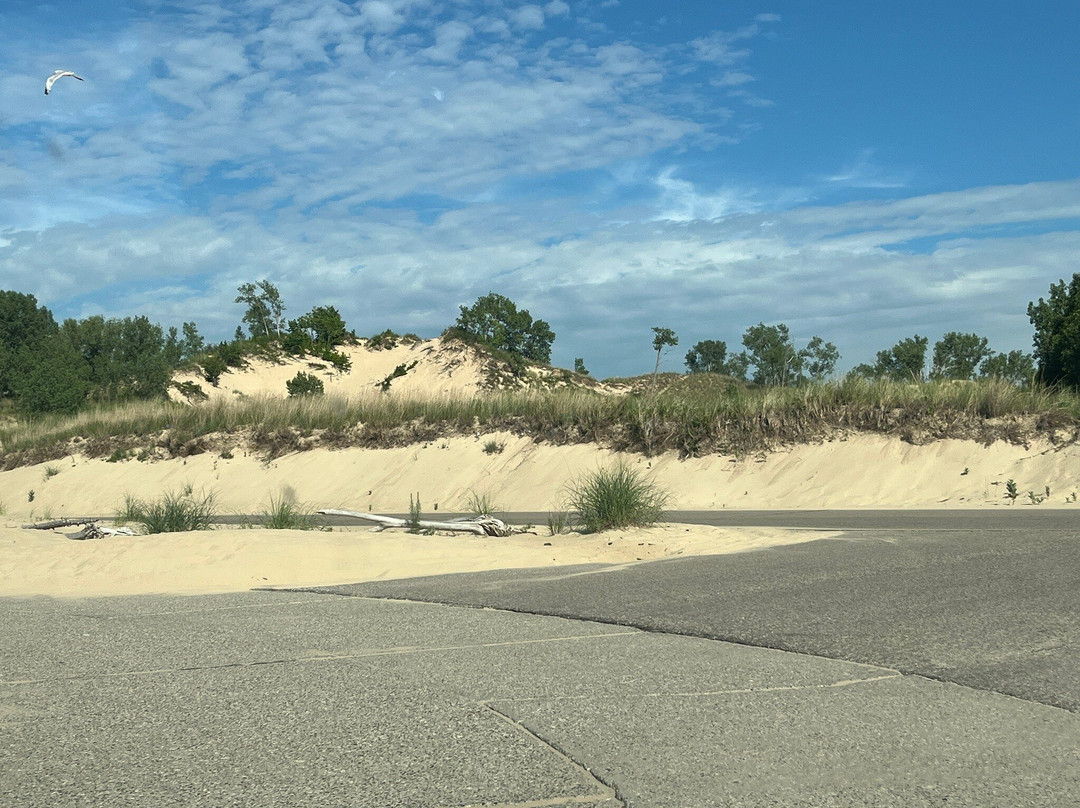 Warren Dunes State Park-Bridgman必去景点