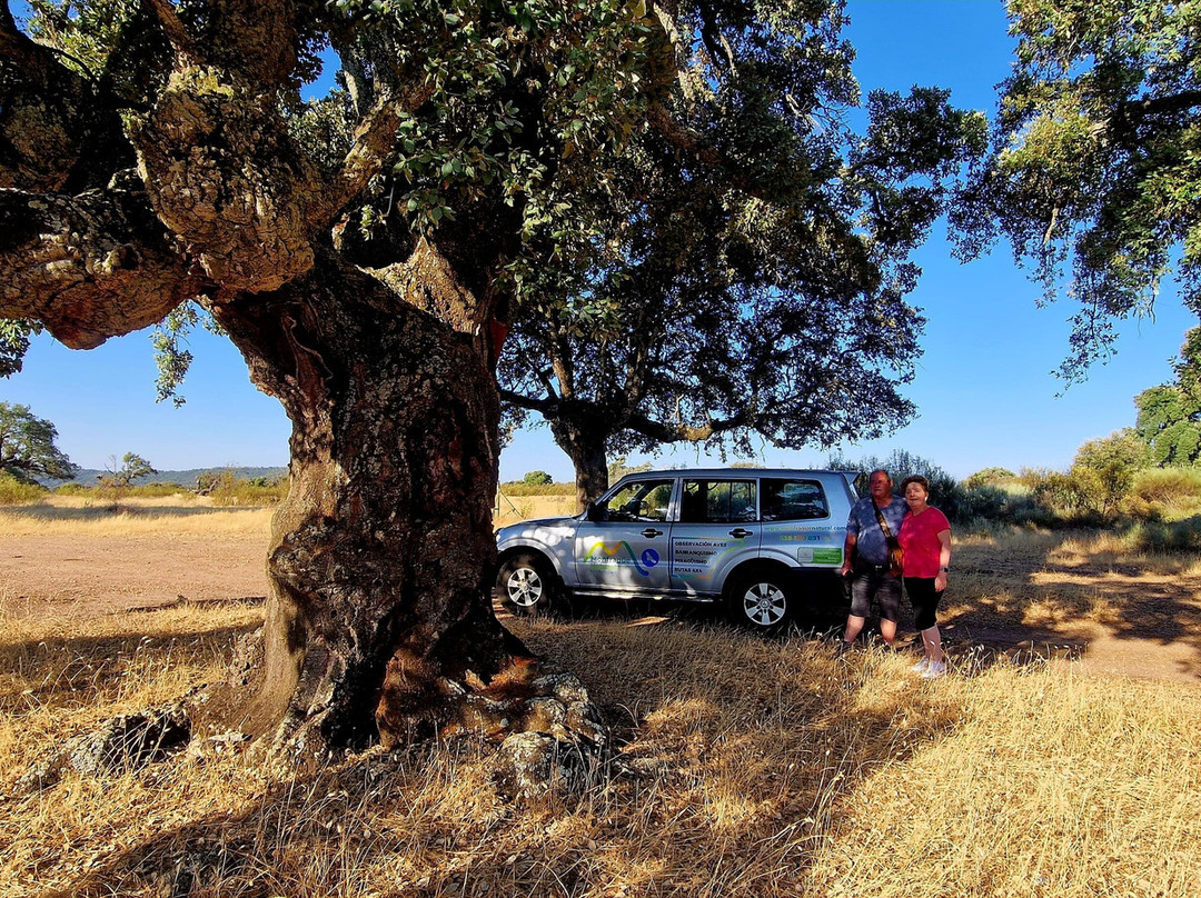 Monfrague Natural Ecoturismo-Malpartida de Plasencia必去景点