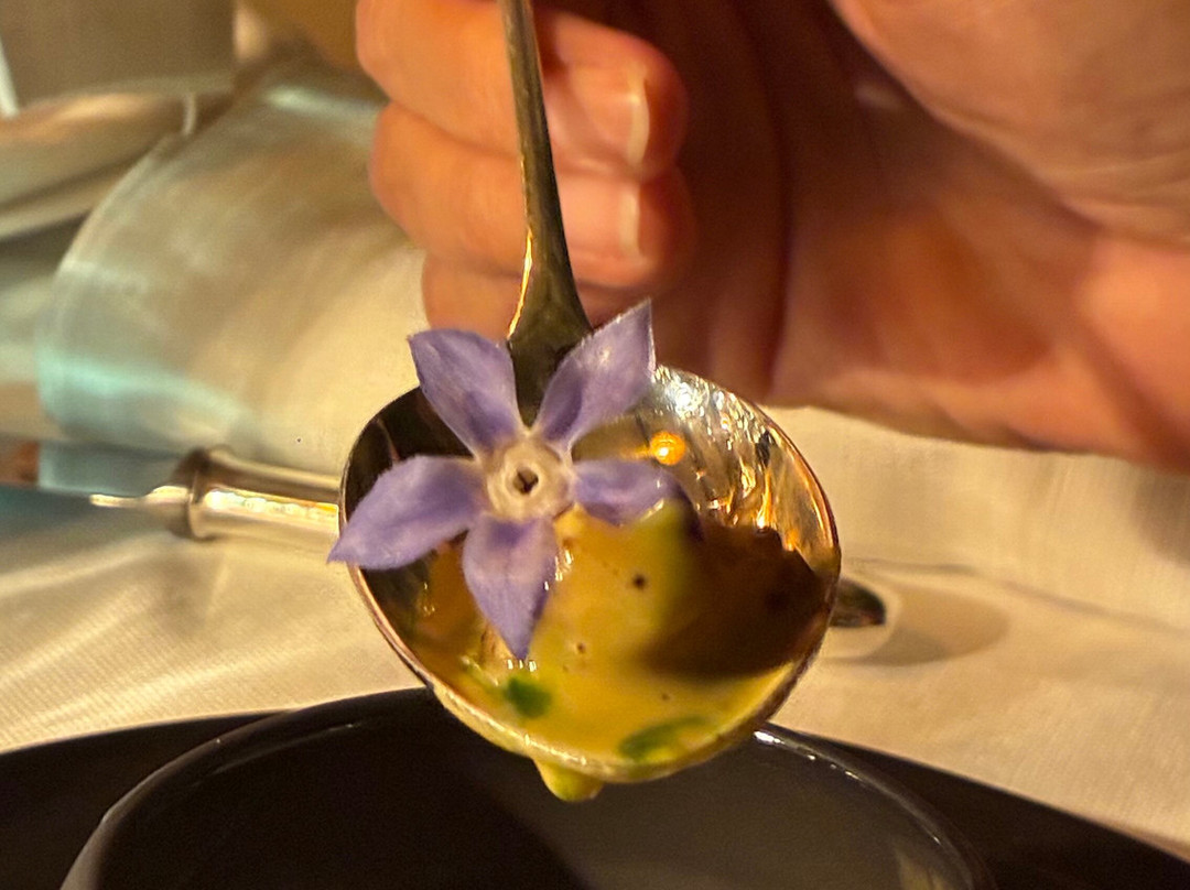 Sottovento Porto Cervo-切尔沃港必去景点