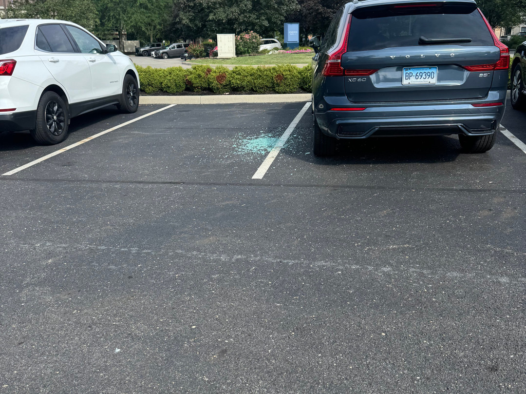 Tru by Hilton Columbus Airport主图