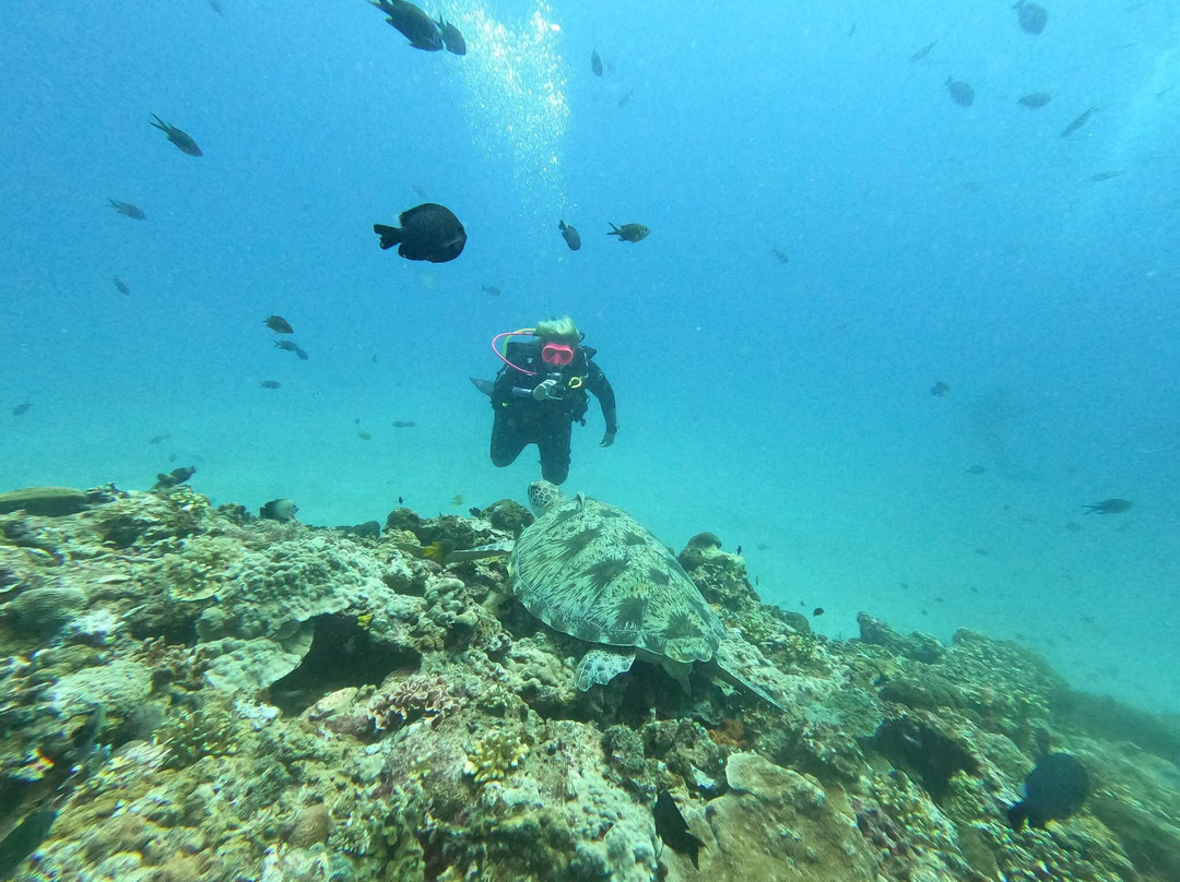 Blue Marlin Dive Gili Air-Gili Air必去景点