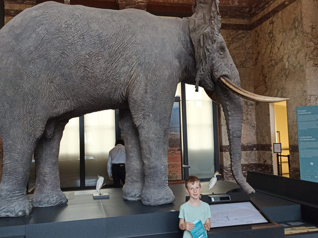 Royal Museum for Central Africa-Tervuren必去景点