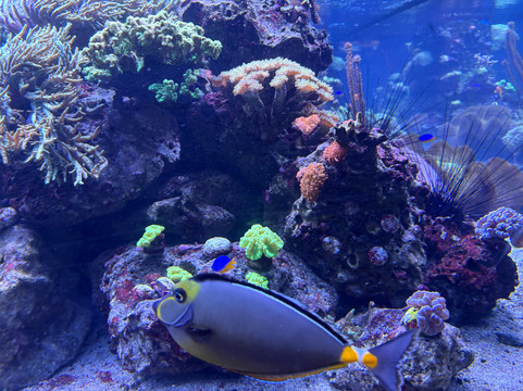 SEA LIFE Speyer-施派尔必去景点