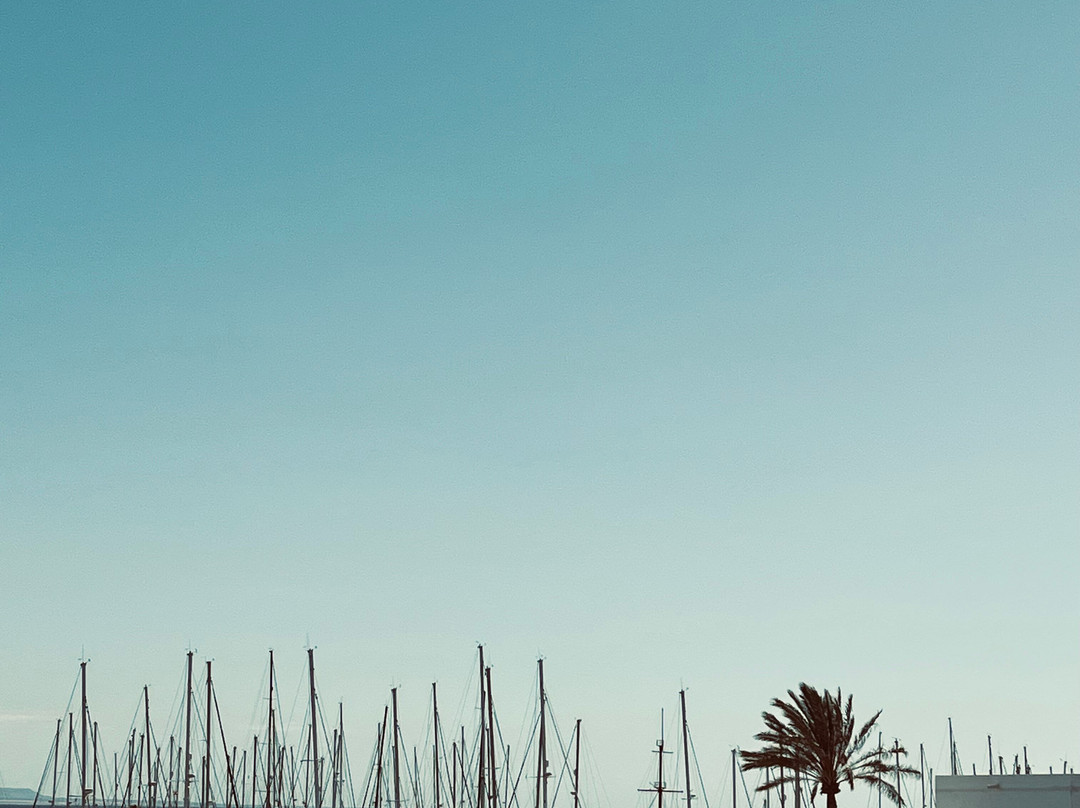 卢比马套房公寓酒店主图