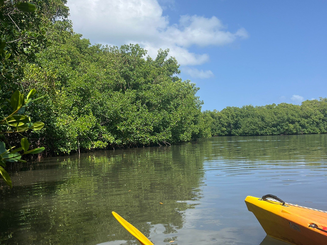 Yalodé Kayak Canyon Bain De Forêt-瓜德罗普岛必去景点