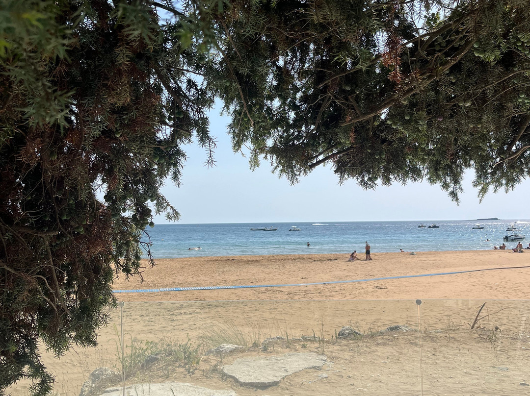 Agios Georgios Beach-Agios Georgios必去景点