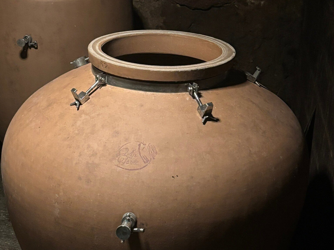 Maison Laudacius - Cave De Montlouis-Sur-Loire-卢瓦尔省蒙特路易必去景点