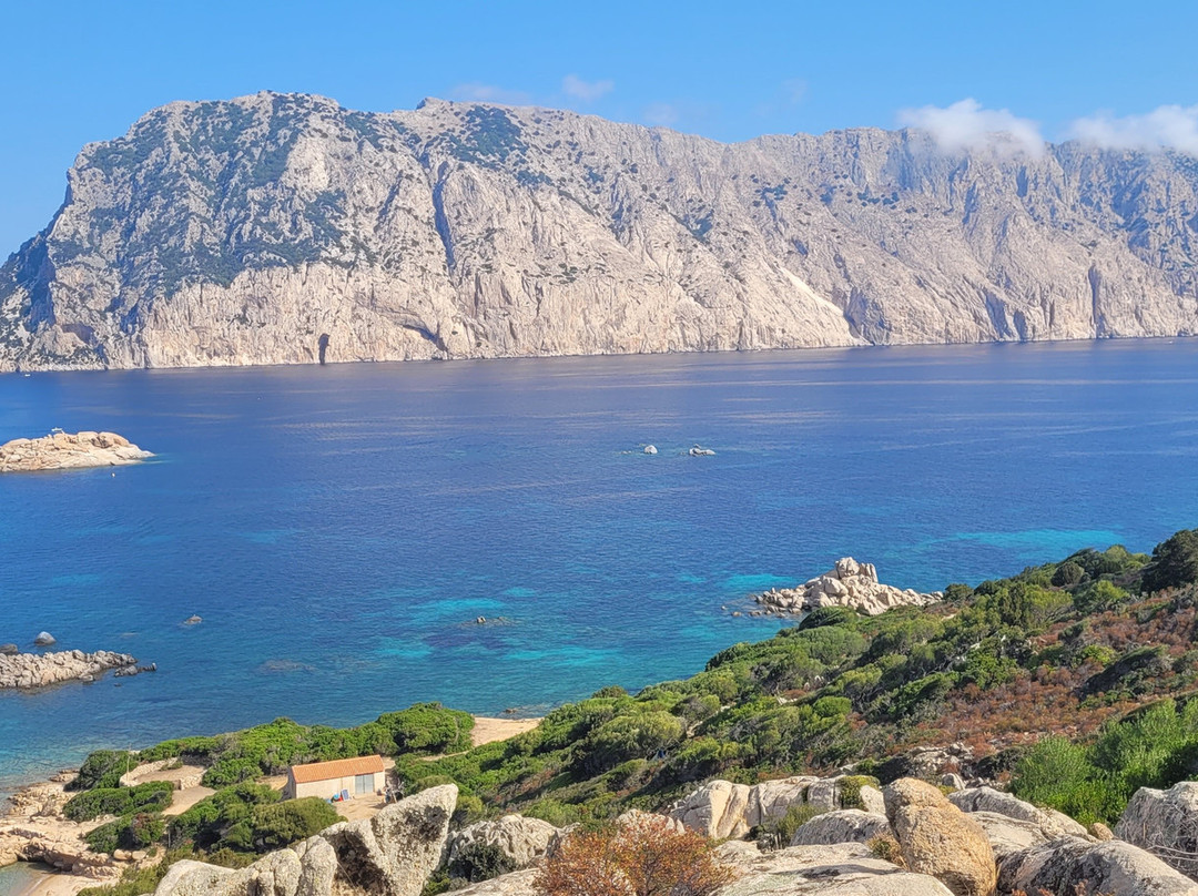 Associazione Molara-奥尔比亚必去景点