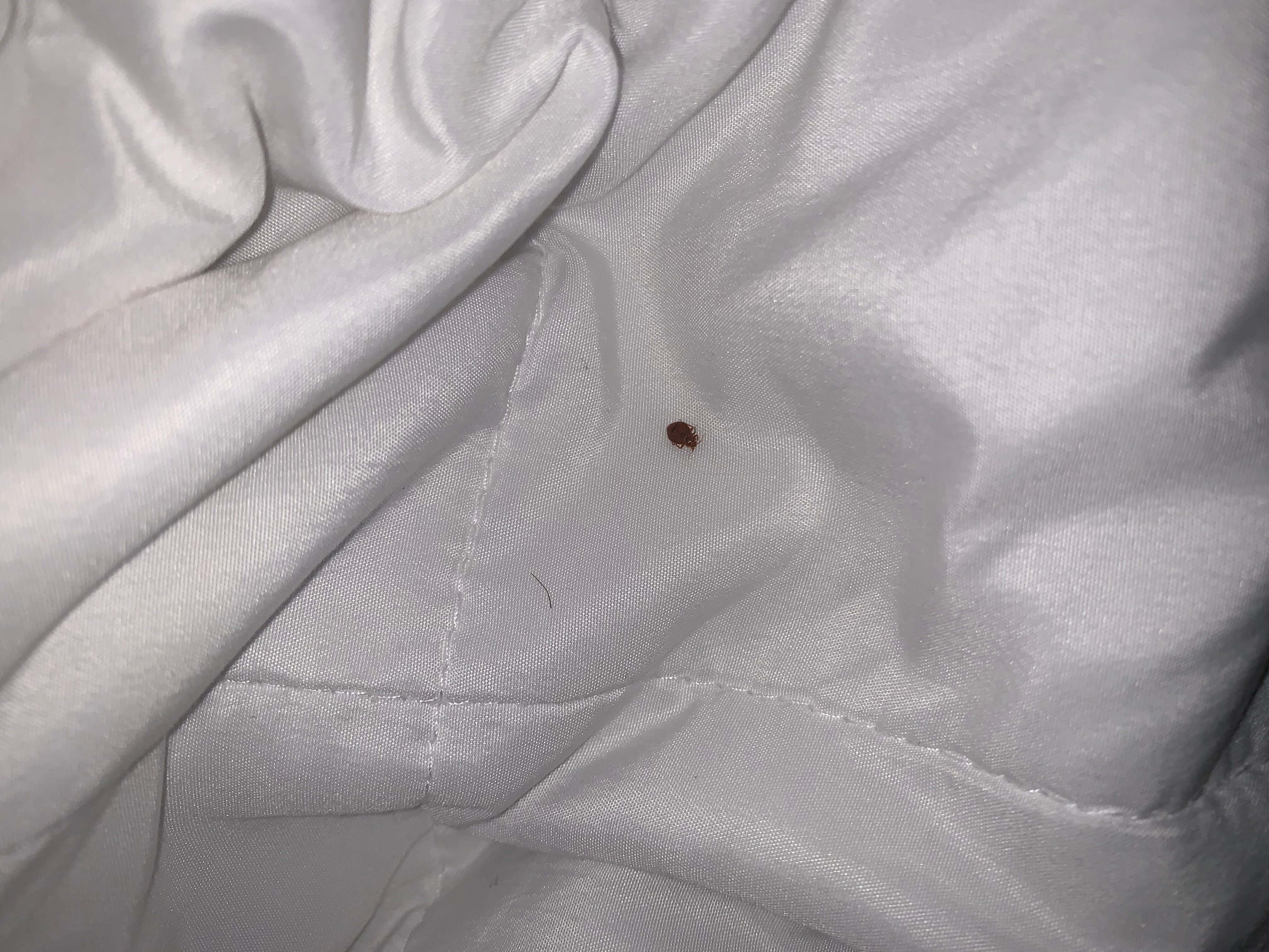 Ramada by Wyndham Mountain Home-官方