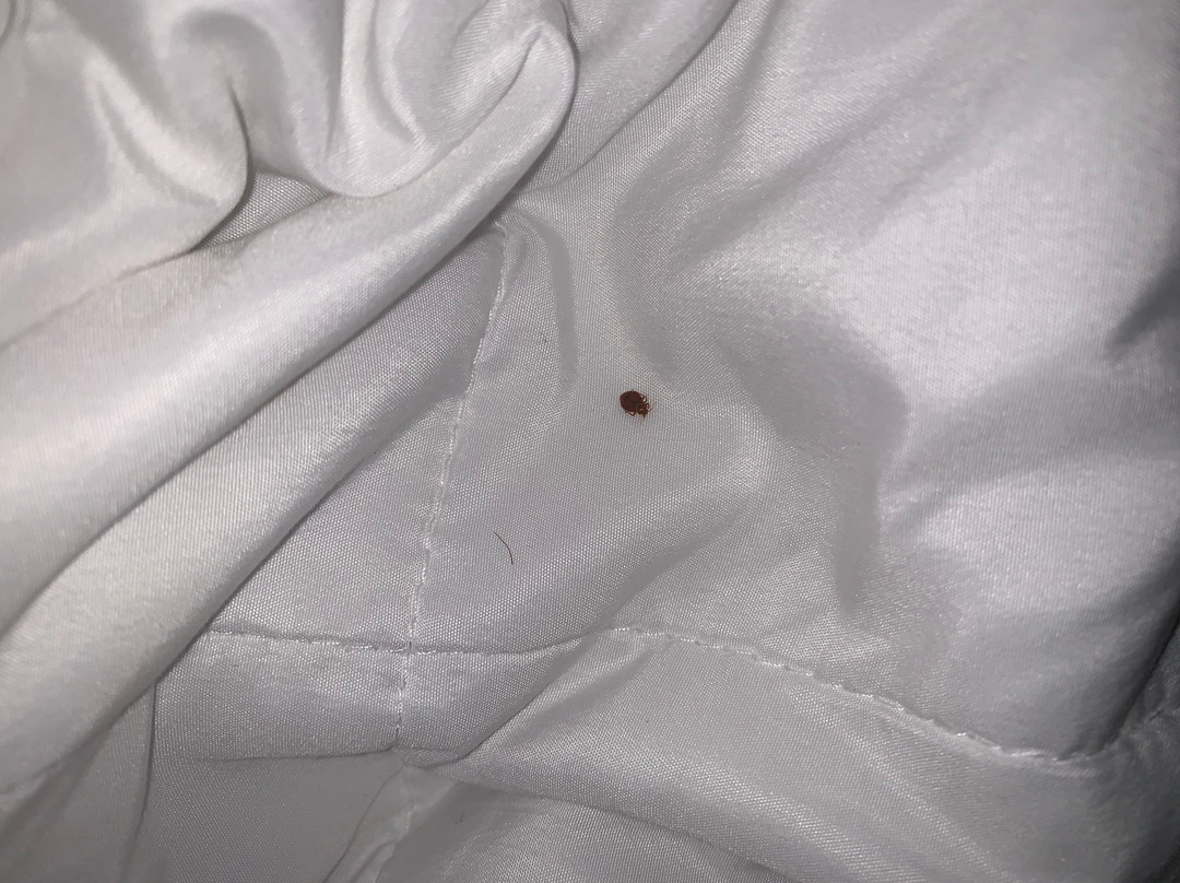 Ramada by Wyndham Mountain Home主图