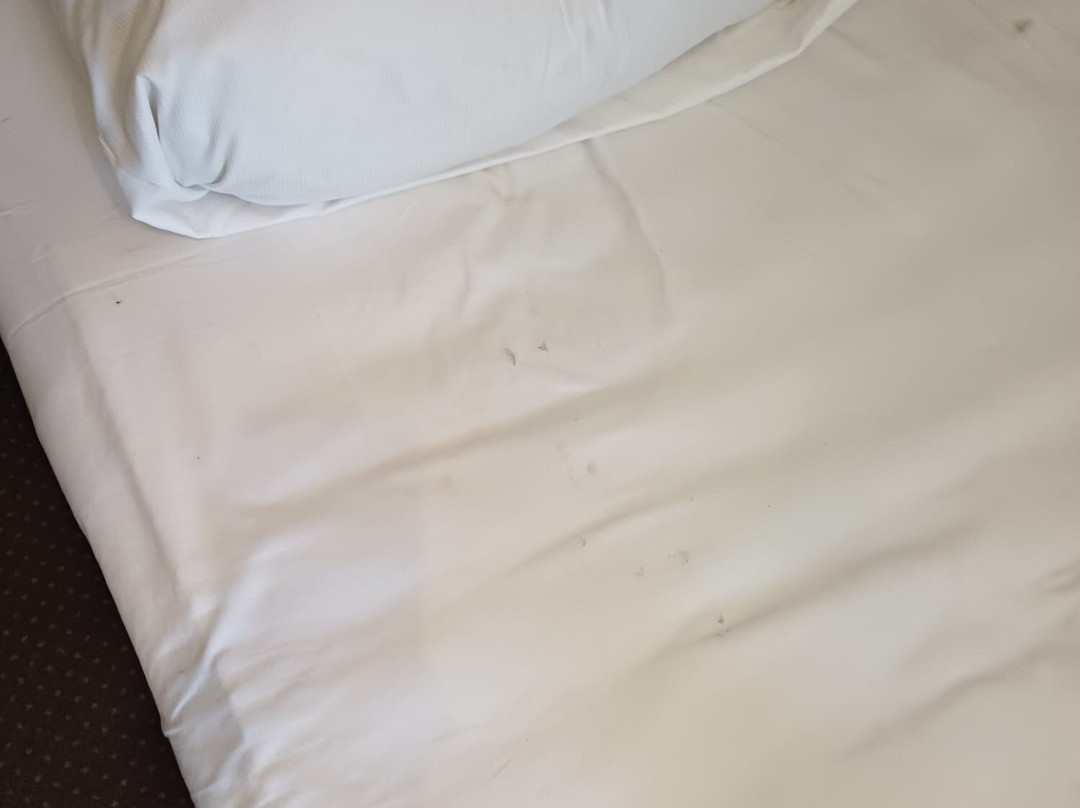 Taste Smart Hotel Backnang主图