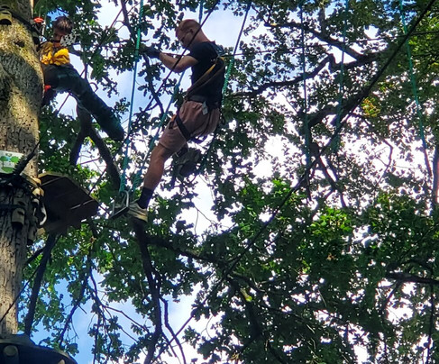 Bonobo Parc-坎佩尔必去景点