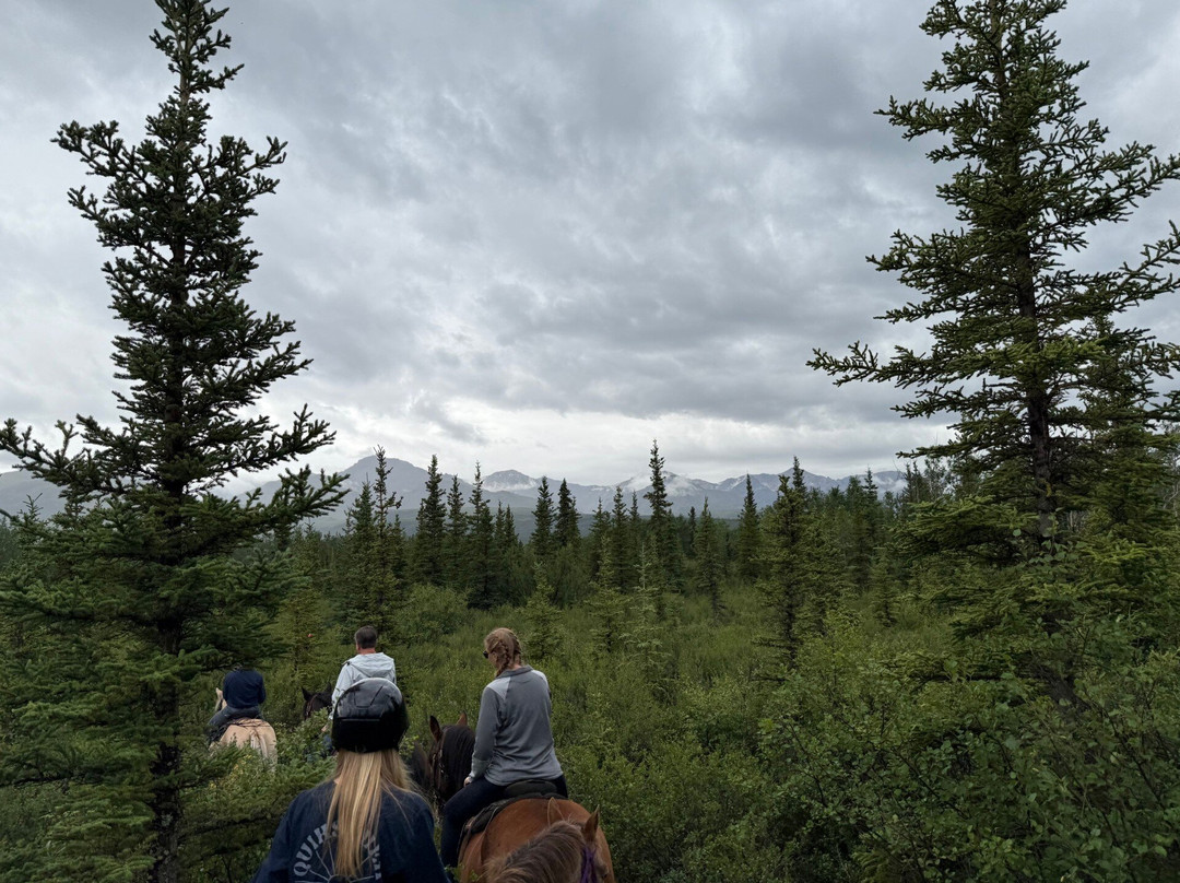 Denali Horseback Tours-德纳利国家公园和自然保护区必去景点