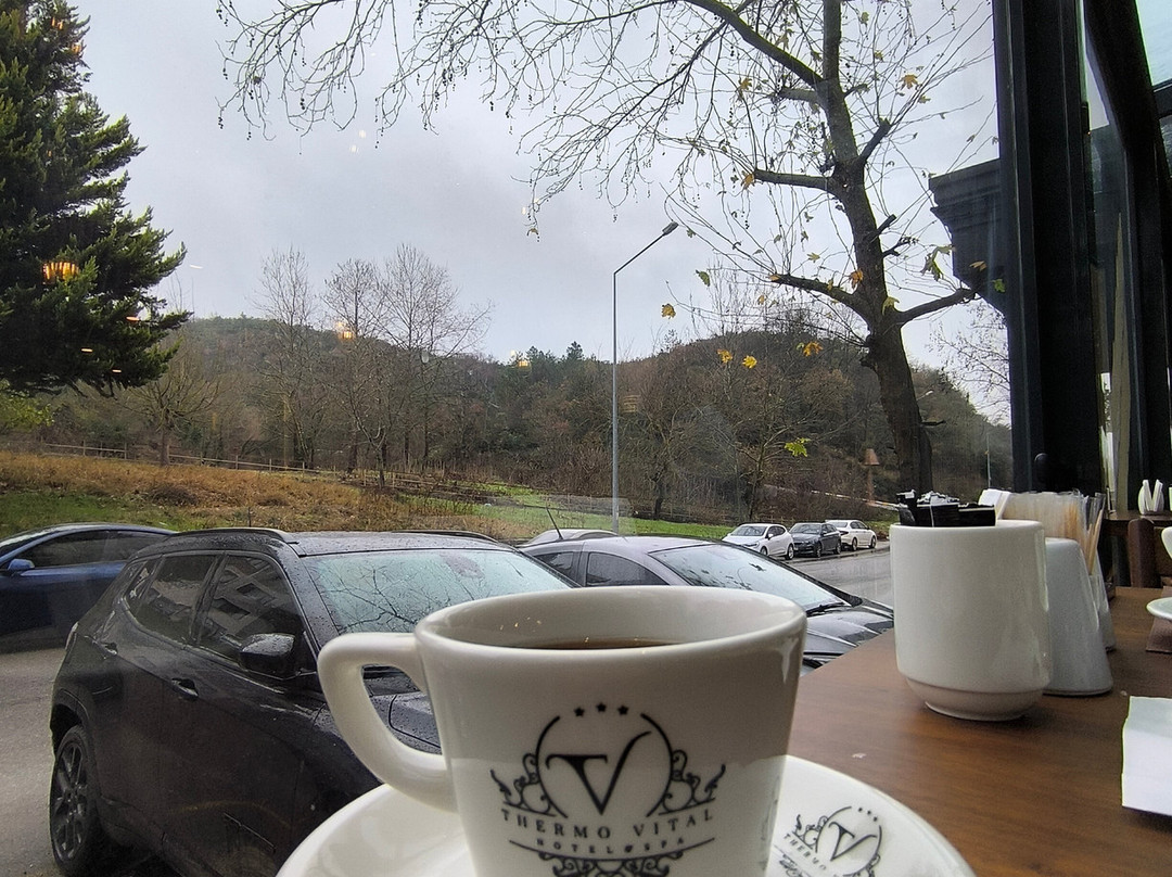 Vital Thermal Hotel & Spa主图