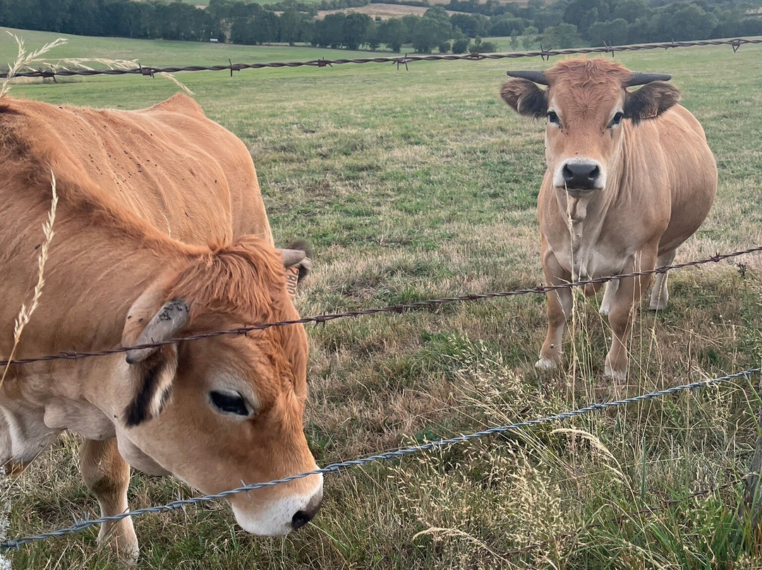 La Ferme de Moulhac主图