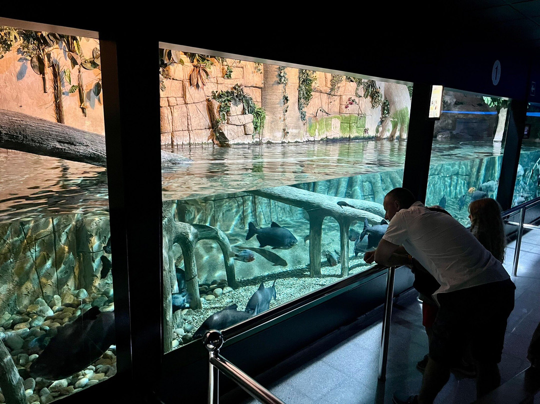 Aquárium Costa de Almería-滨海罗克塔斯必去景点