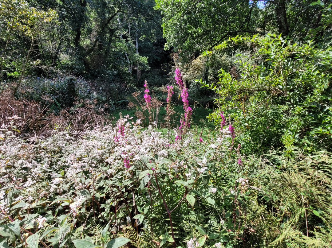 Fast Rabbit Farm Gardens-达特茅斯必去景点
