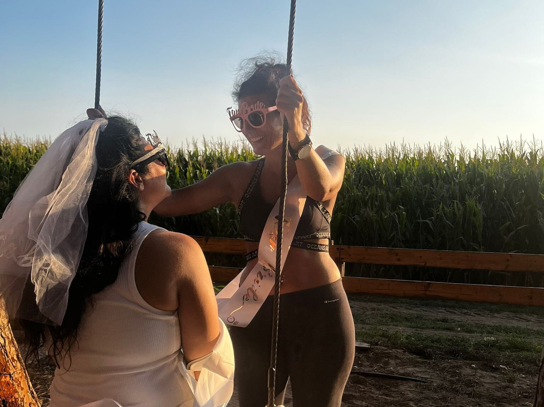 Parco Avventura Fregene-Fregene必去景点