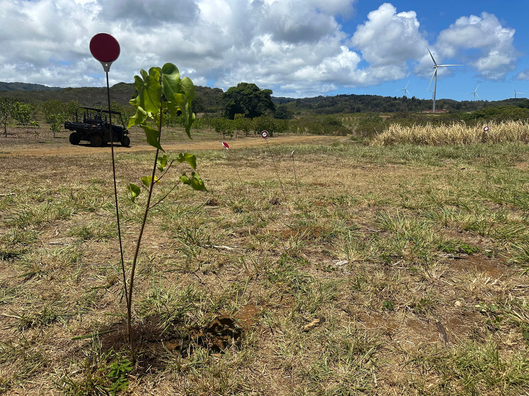 枪托牧场-拉叶必去景点