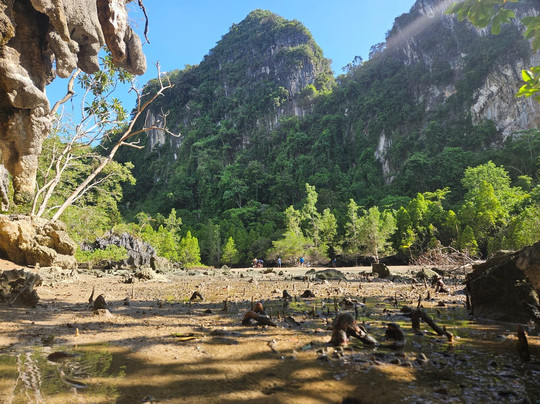 Paddle Asia - Private Custom Kayak Tours-普吉镇必去景点