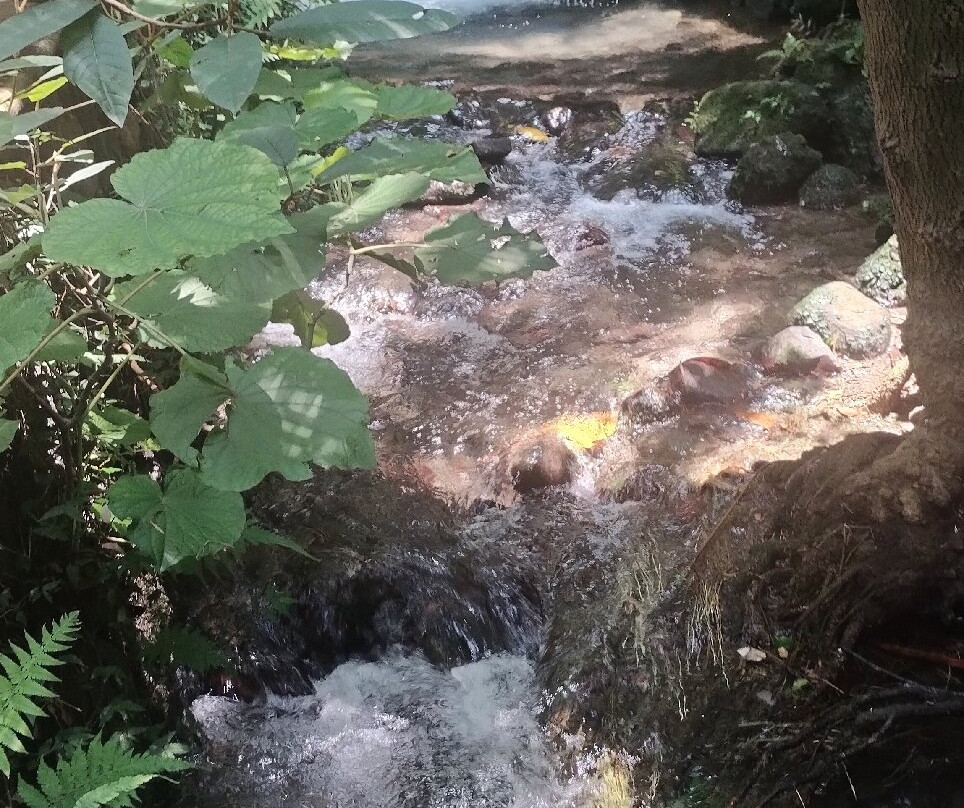 Parque Barranca Chapultepec-奎尔纳瓦卡必去景点