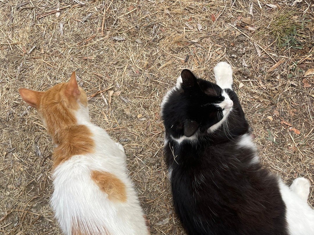 Dr. Kavvadia's Organic Farm-Tzavros必去景点