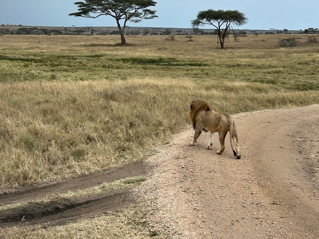 Kilitanzania Pride Tours and Safaris-阿鲁沙必去景点
