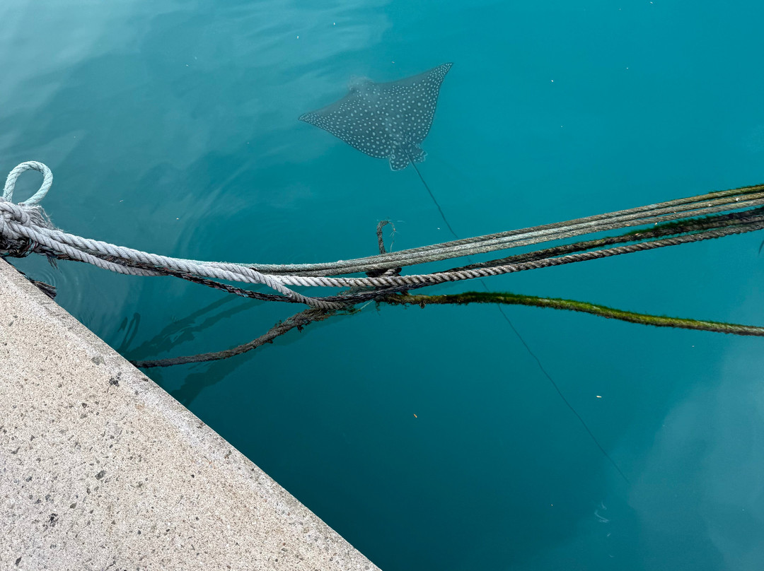 Wave Sound by 3S Maldives主图