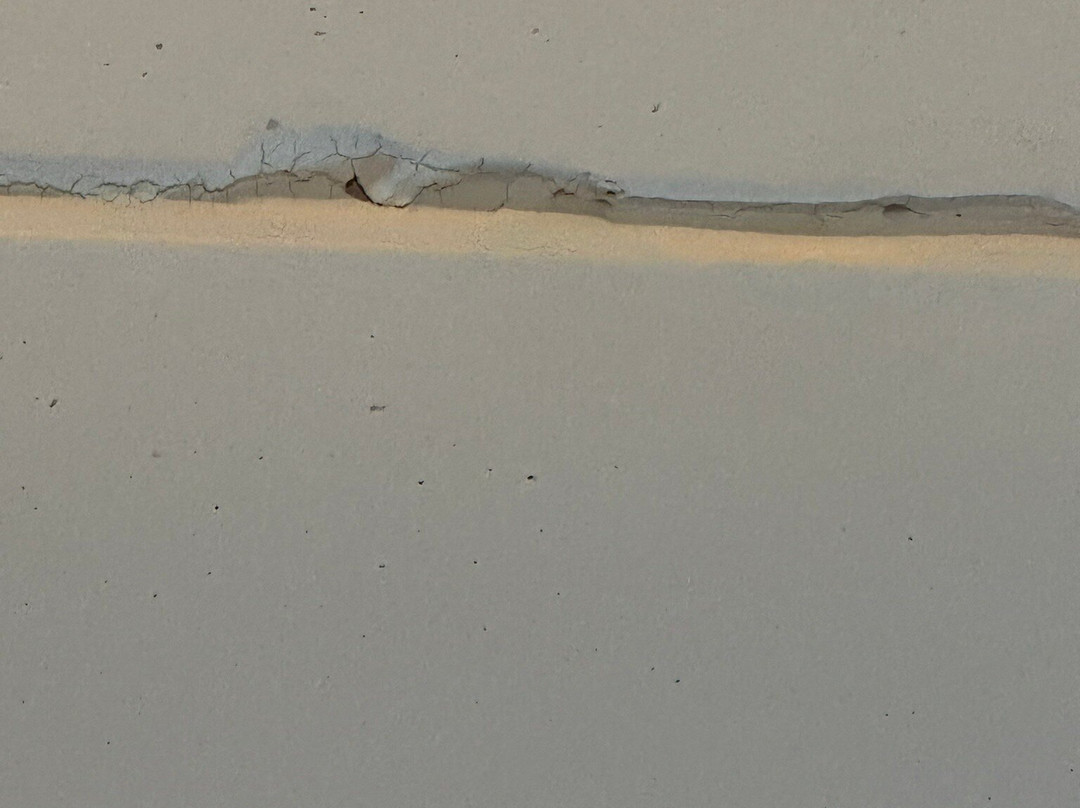 Aloft Buffalo Airport主图