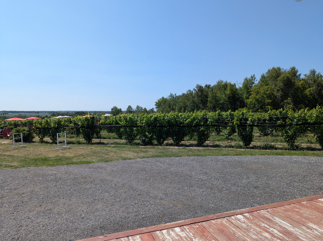 KIN Vineyards-Carp必去景点