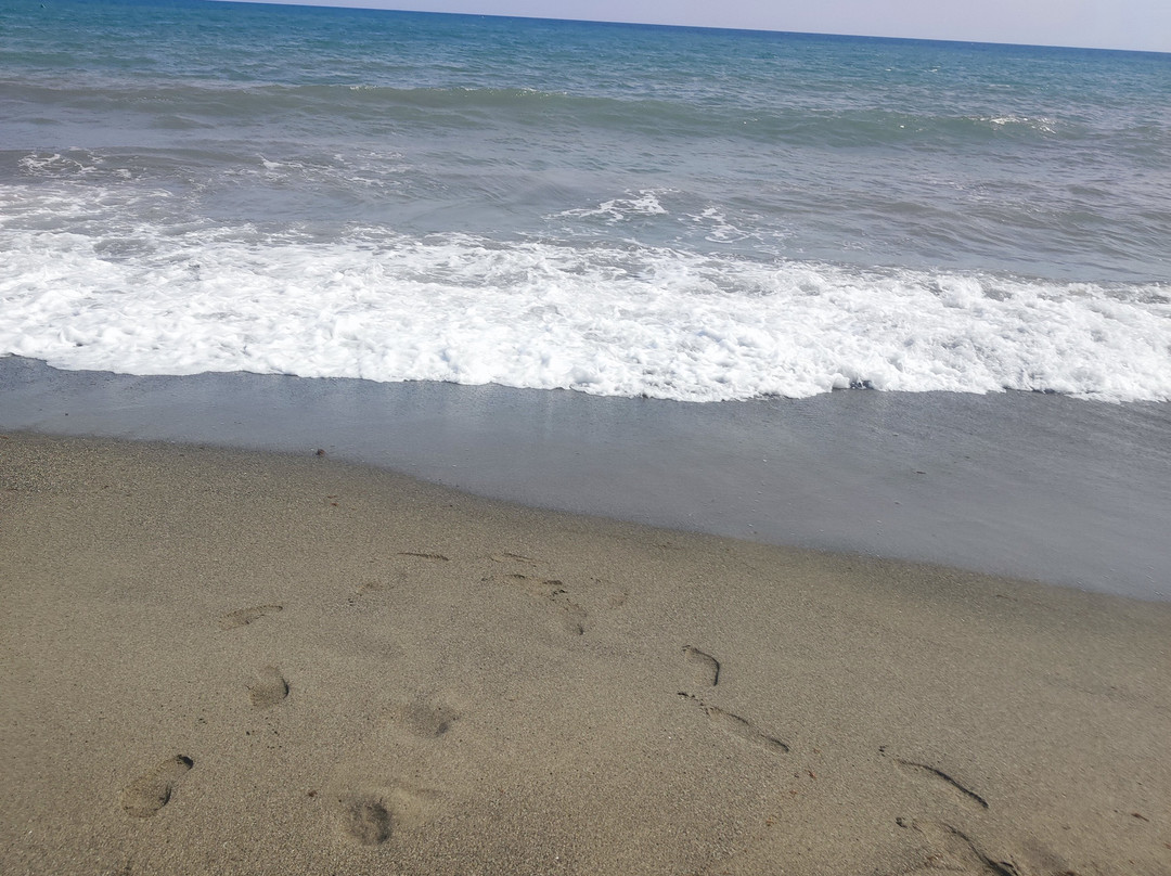 Globales Paraíso Beach主图