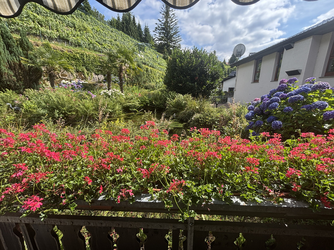 多棱伯格酒店主图