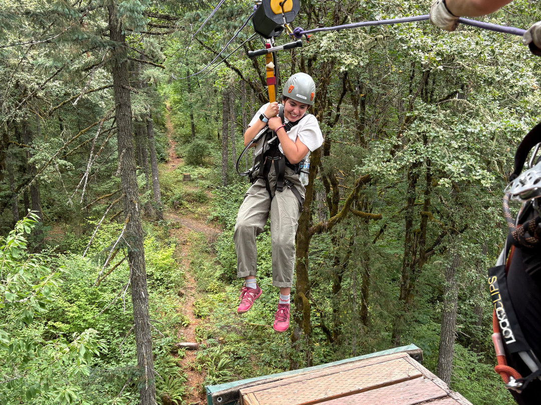 Tree to Tree Adventure Park-Gaston必去景点