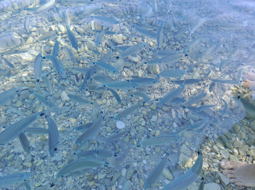 Fanari Beach-Meganisi必去景点