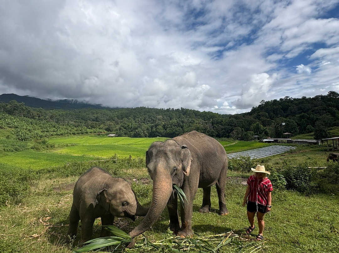 Elephant Pride Sanctuary-清迈必去景点