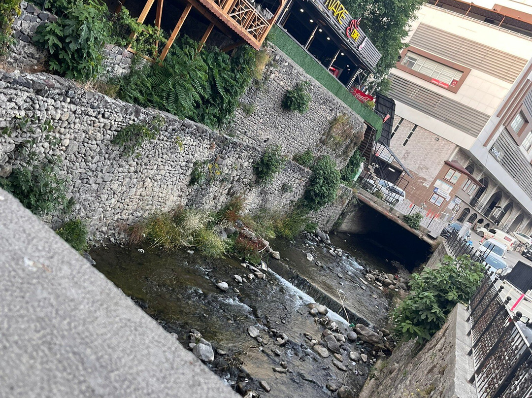 Leylekli Yılanlı Köprü-Niksar必去景点