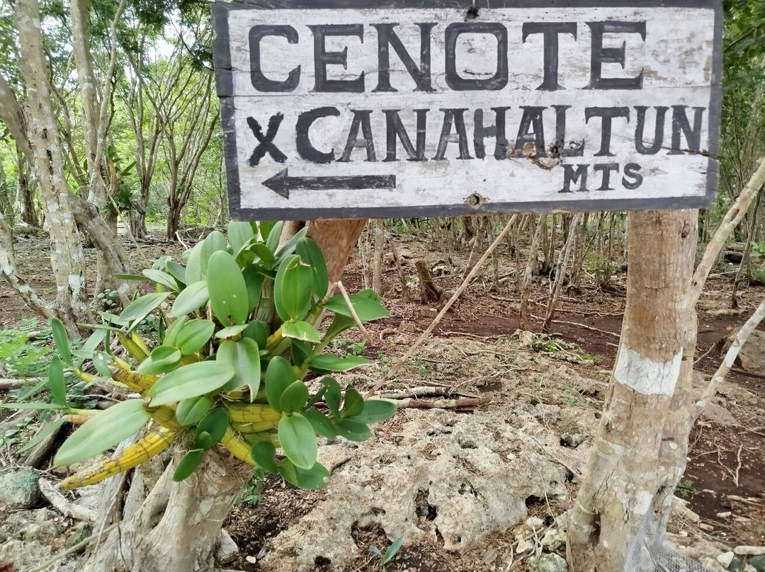 Cenote Xcanahaltun-Temozon必去景点