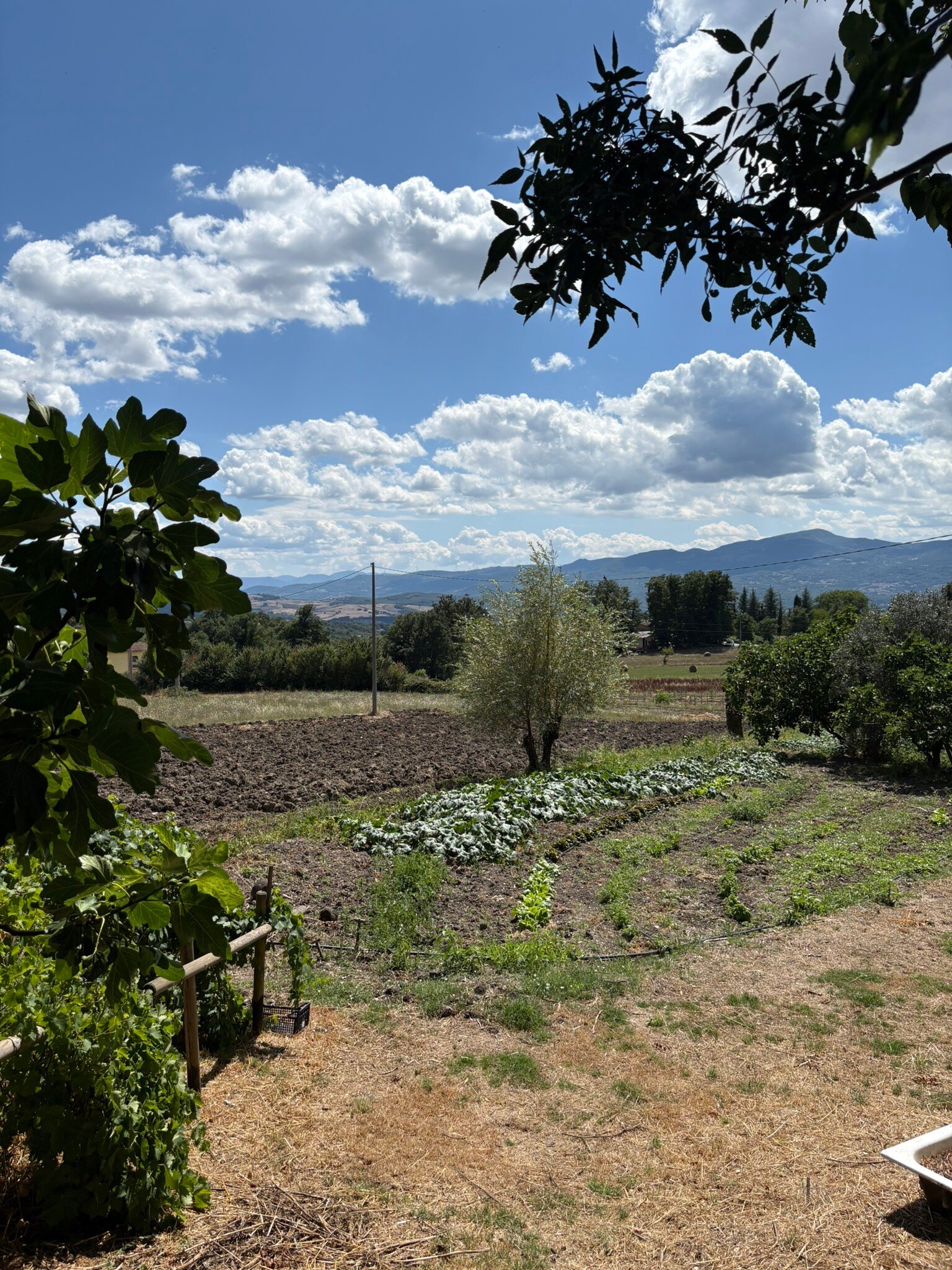 Agriturismo La Ginestra-官方