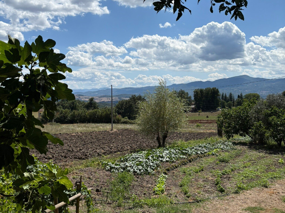 Agriturismo La Ginestra主图